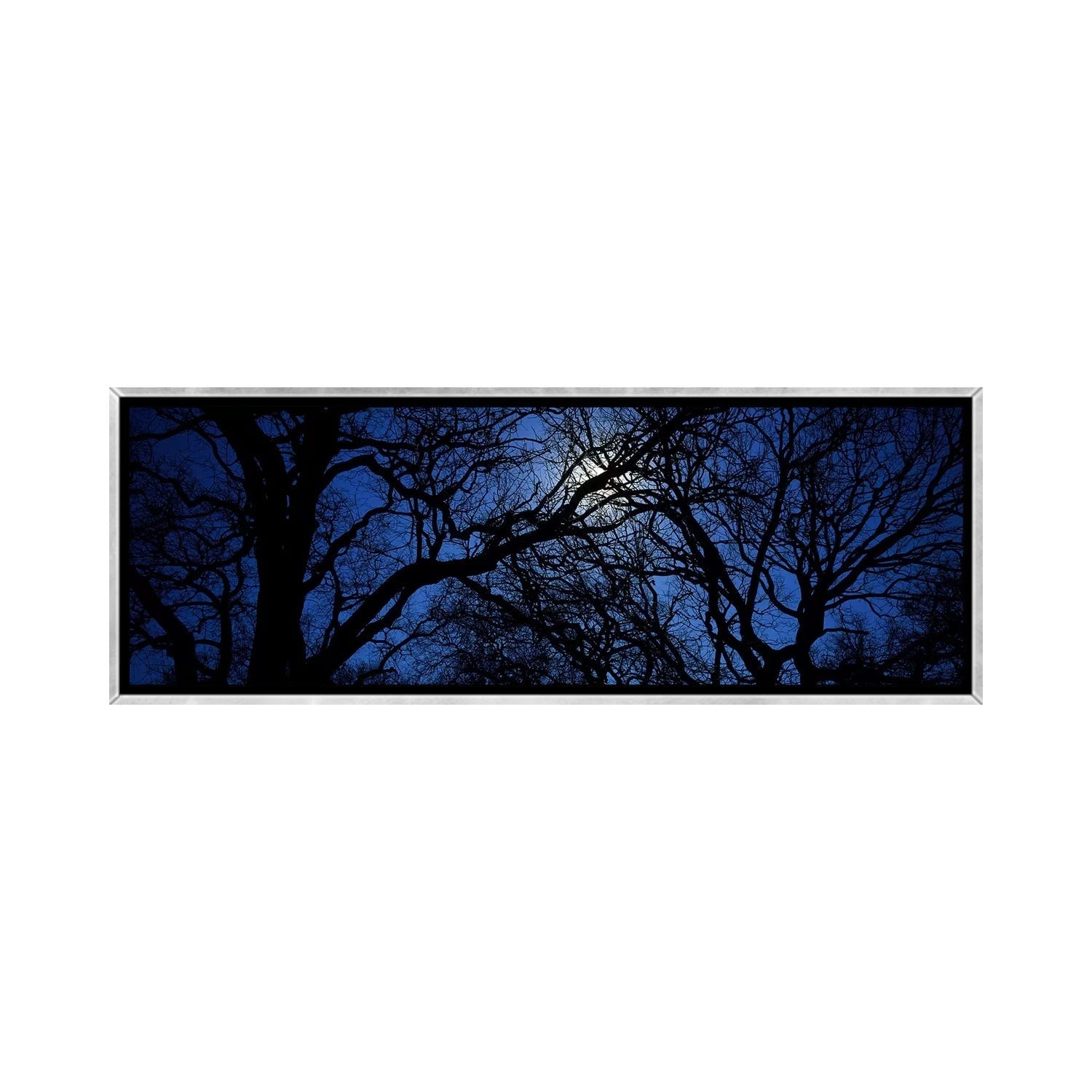 iCanvas "Silhouette of Oak treesTexas, USA" by Panoramic Images Framed