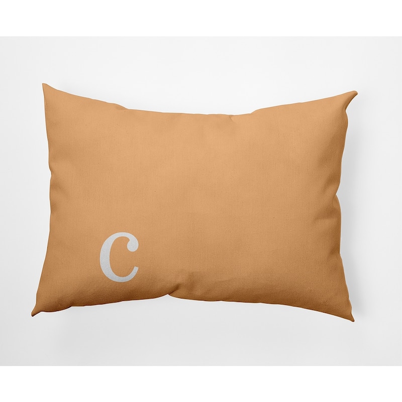Modern Monogram Decorative Throw Pillow - 14" x 20" - c