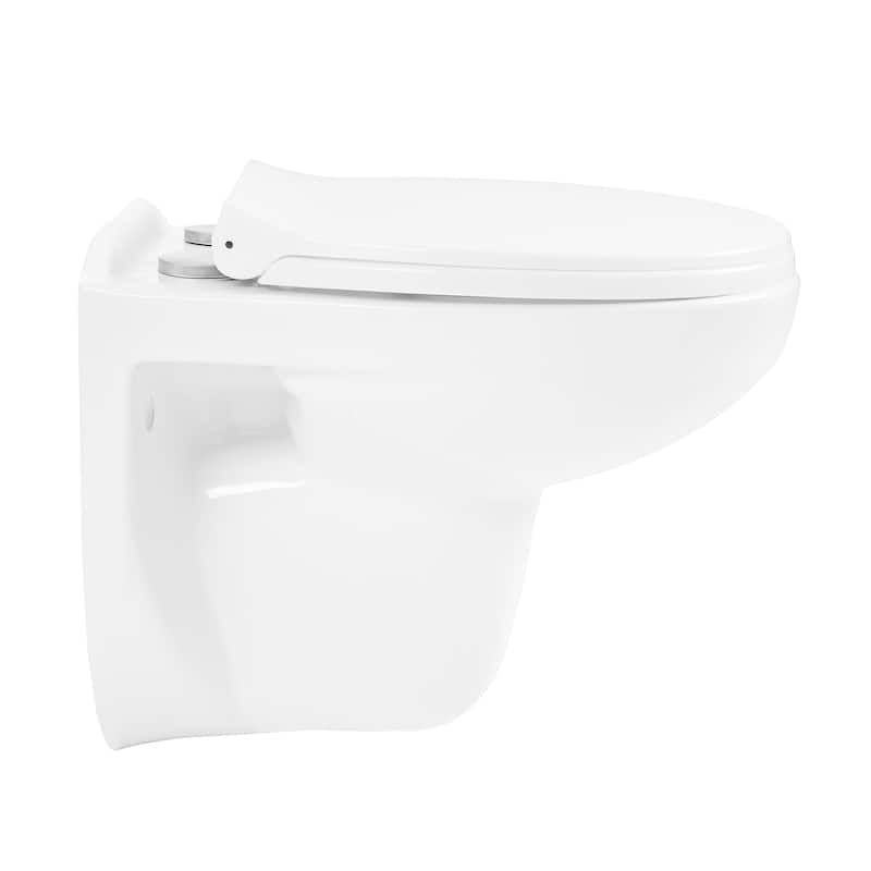 Giovanni Wall-Hung Elongated Toilet Bowl - 25" x 19.29" 22.05" - 25" x 19.29" 22.05" - White