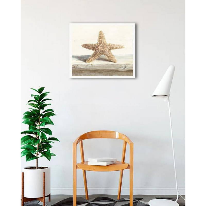 Driftwood Shell III Framed Poster - 24 x 24 Inch - White