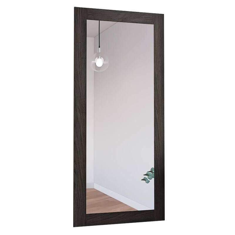 TUHOME Marsala 62.5-Inch High Rectangular Mirror