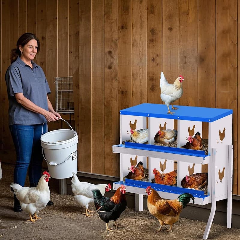 6 Compartment Metal Chicken Nesting Box, Laying Box for Hens Ducks Rabbits, Blue