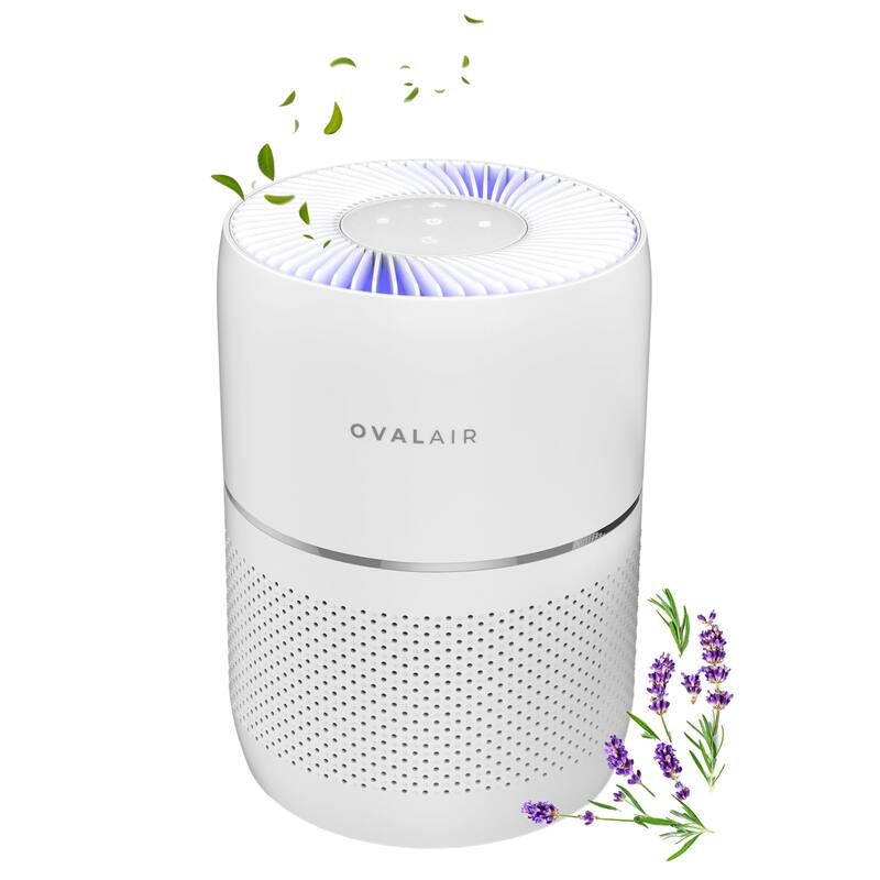OVAL AIR 3-Stage H13 Smart True HEPA Desk Air Purifier for Rooms up to 150 sq. ft. reduces Allergies, Asthma, Pets, Odor, White