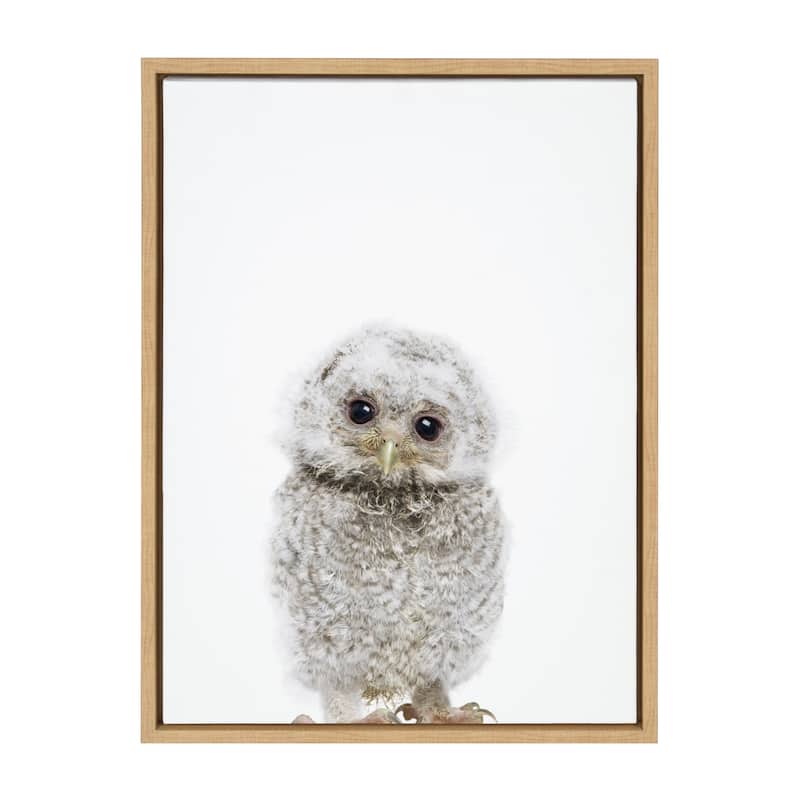 Kate and Laurel Sylvie Animal Studio Owl Framed Canvas by Amy Peterson Art Studio