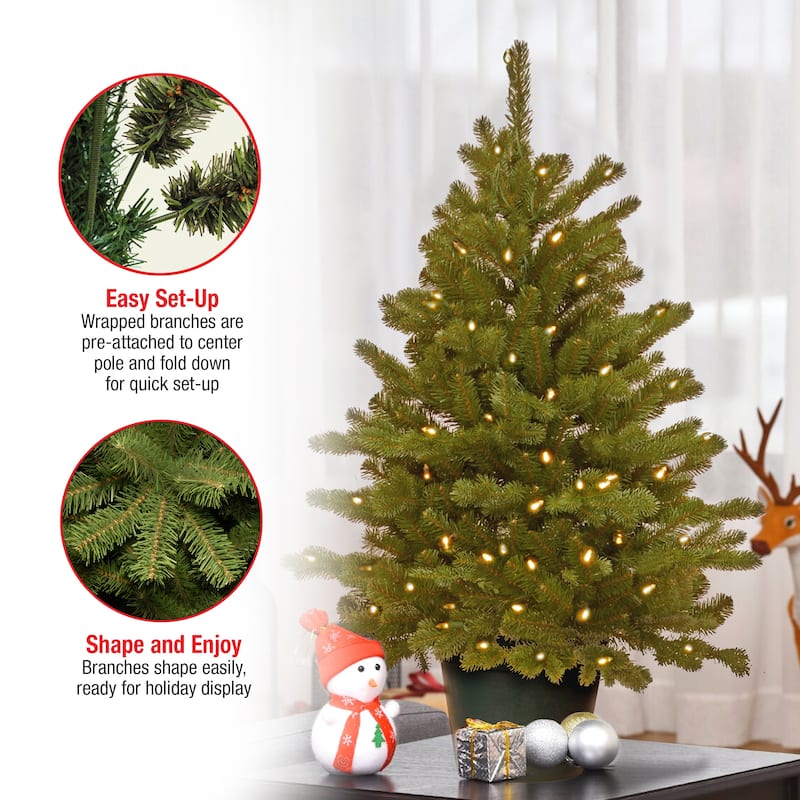 National Tree Company 3 ft. Hampton Spruce Green Holiday Tree with Clear LED Lights - 3 Foot