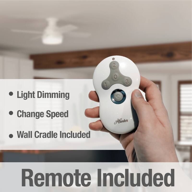 Hunter Fan Dempsey 44-inch Low-profile Reversible Blades Ceiling Fan