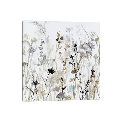 iCanvas "Wildflower Mist II" by Carol Robinson Canvas Print