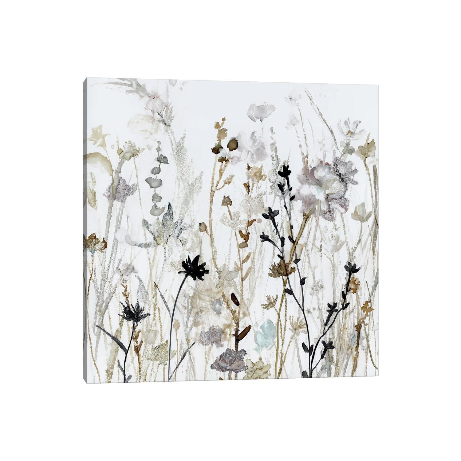 iCanvas "Wildflower Mist II" by Carol Robinson Canvas Print