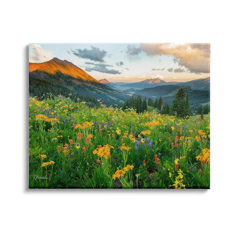 Stupell Open Wildflower Fields Cloudy Sunrise Mountain Landscape Canvas Wall Art - Multi-Color - 30 x 24
