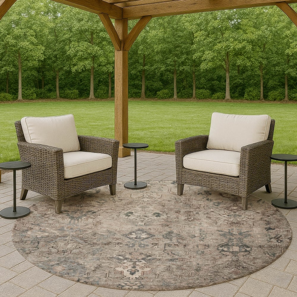 Machine Washable Indoor/ Outdoor Traditional Serenity Chantille Rug