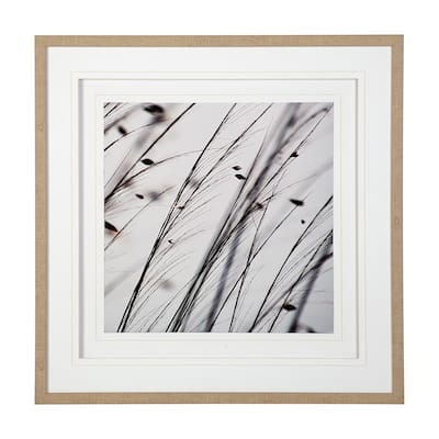 Organic II Framed Art Print