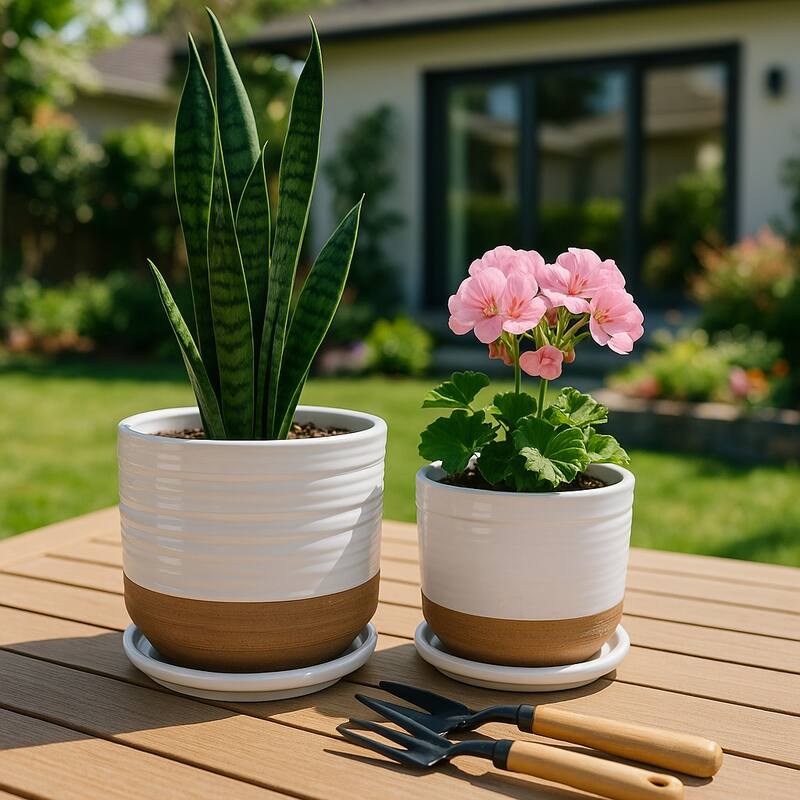 Ceramic Circular Saucer Planters Set of 2 - 6/8 in.