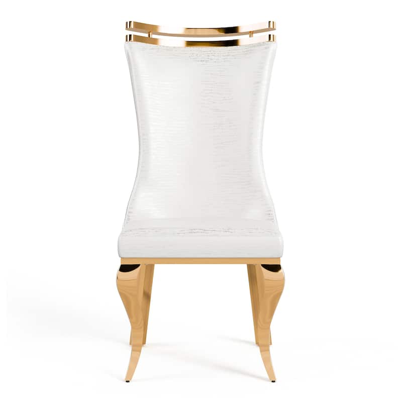 Furniture of America Thaddeus Glam Stainless Steel Upholstered Dining Side Chair (Set of 2)