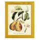 preview thumbnail 12 of 138, Printed Tuscan Fruits IV -Framed Print w/glass-Cherry Red 9x11 - Yellow
