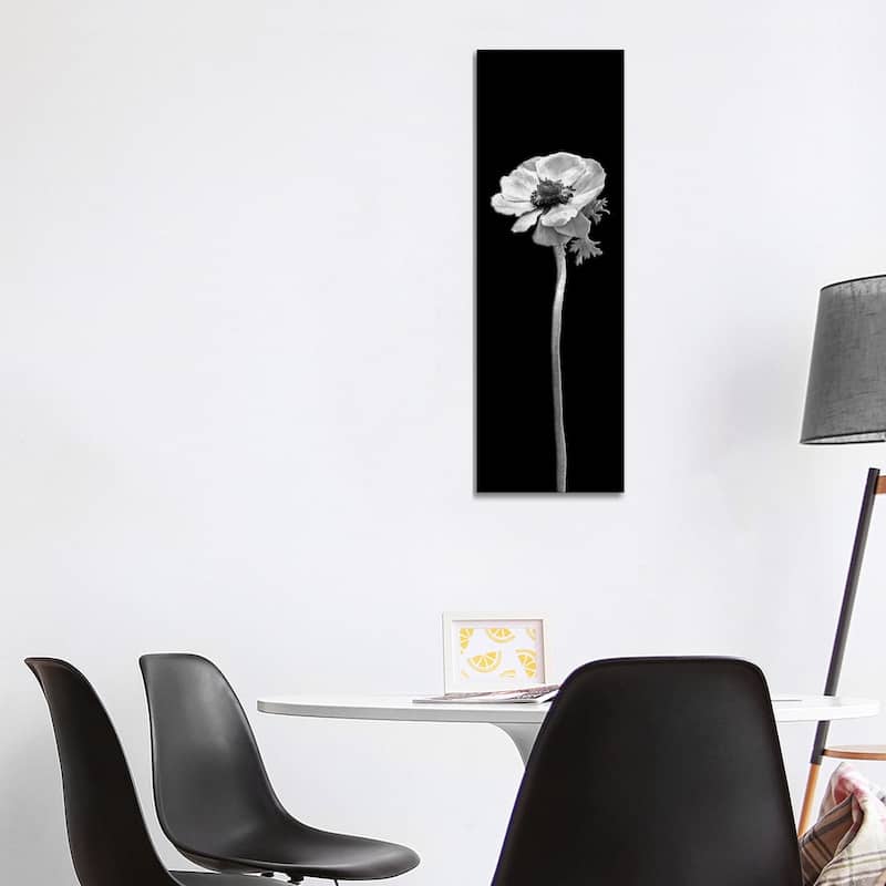 iCanvas "Anemone Coronaria - Panoramic Dark Design" by Melanie Viola Canvas Print - 48x16x1.5