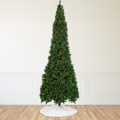 16' Pre-Lit Commercial Pendleton Spruce Slim Artificial Christmas Tree Multicolor Lights