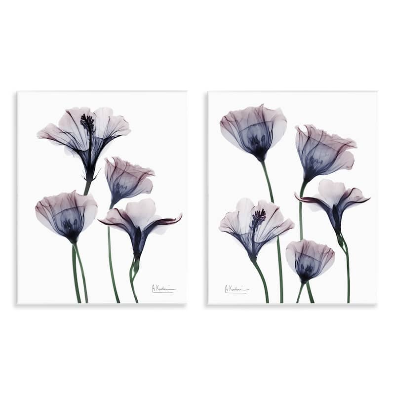 Stupell Bountiful Dusk Lilies Wall Plaque Art Design By Albert Koetsier (Set of 2) - 11 x 14