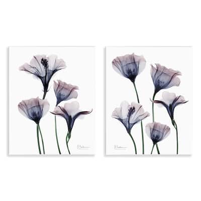 Stupell Bountiful Dusk Lilies Wall Plaque Art Design By Albert Koetsier (Set of 2)