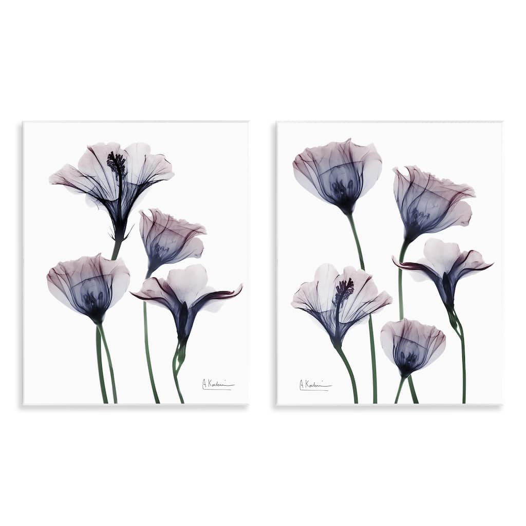 Stupell Bountiful Dusk Lilies Wall Plaque Art Design By Albert Koetsier (Set of 2)