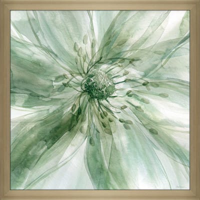 "Macro Sage Flower I" by Carol Robinson Print on Acrylic
