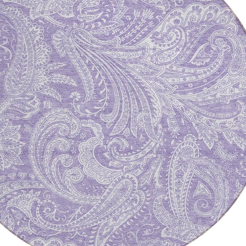 HomeRoots Paisley Transitional Rectangle Outdoor Rug