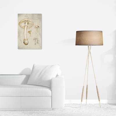 Wynwood Studio Canvas Floral and Botanical Mushroom Illustrated Notes White and Cream White Industrial Wall Art Canvas Print