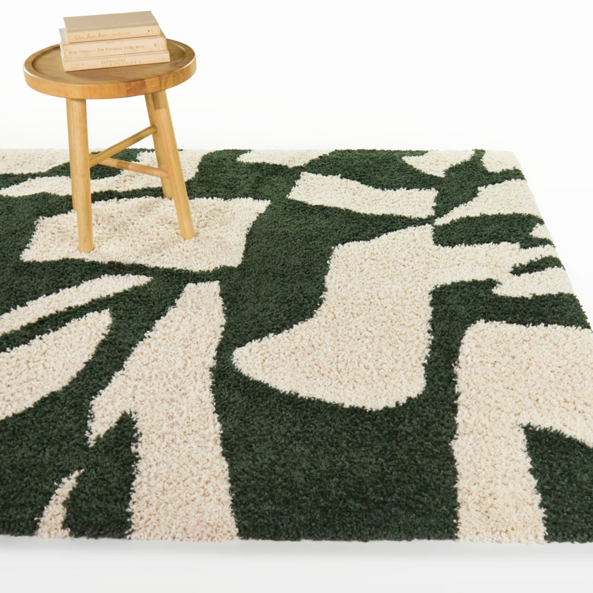 Alonzo Modern Abstract Area Rug