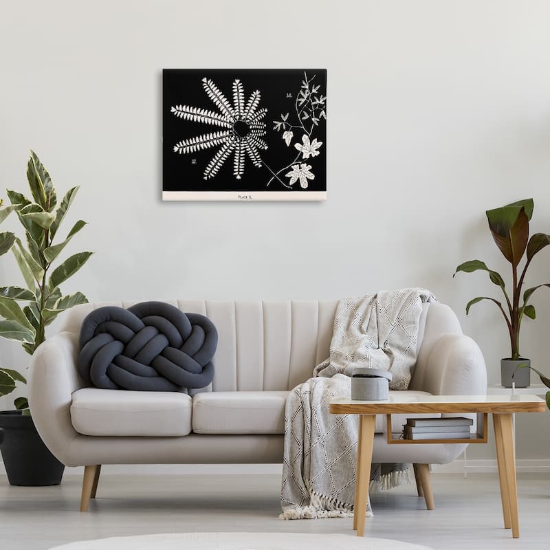 Stupell Ferns & Leaves on Black Canvas Wall Art Design By Phillipa Katz