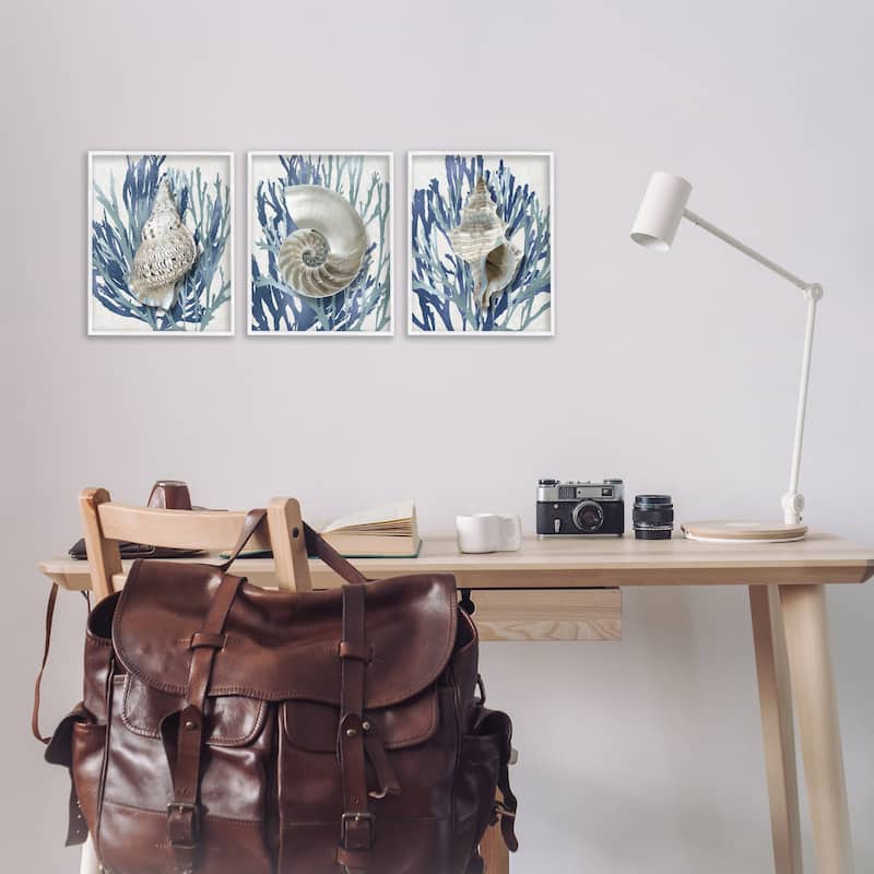 Stupell Trio of Shell Coral Blue Beach Design, 3pc Multi Piece Framed Wall Art Set