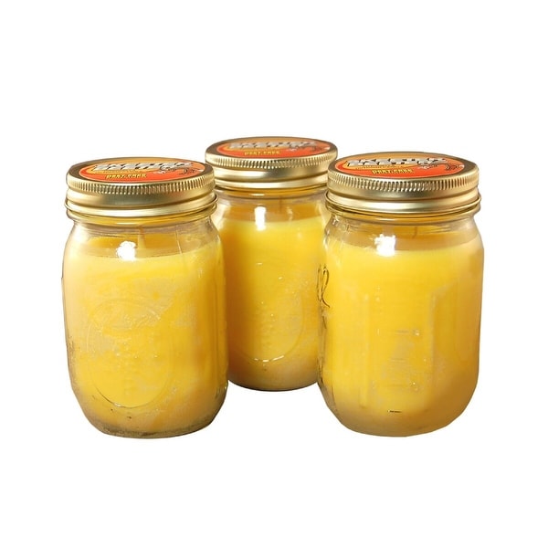 Set of 3 Yellow Citronella Candles in Glass Mason Jar with Metal Lid 5.5" - N/A