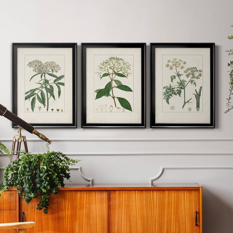 Antique Turpin Botanical VII Premium Framed Canvas - Ready to Hang - Multi-Color