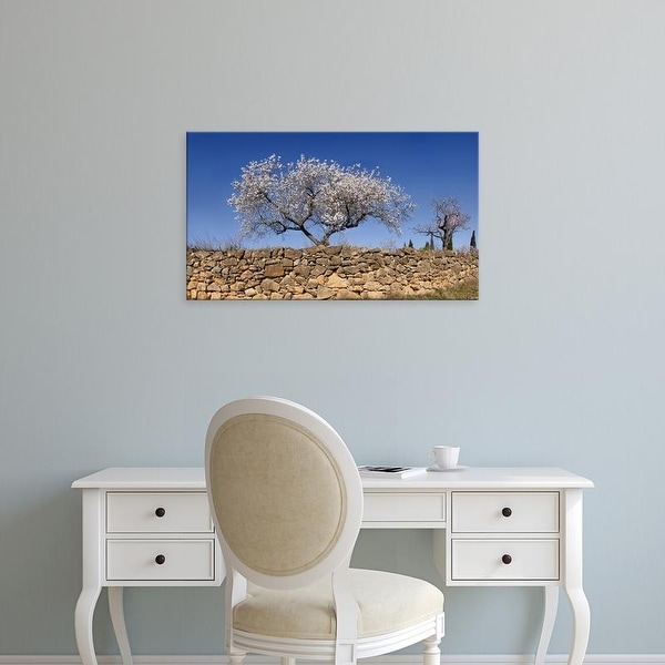 Easy Art Prints Panoramic Images's 'Almond blossom near the town of Vinaros, Province of Castellon, Spain' Canvas Art
