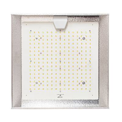 100W LED Full Spectrum Linkable Grow Light, 120-277V input, 6 steps dimmable - silver