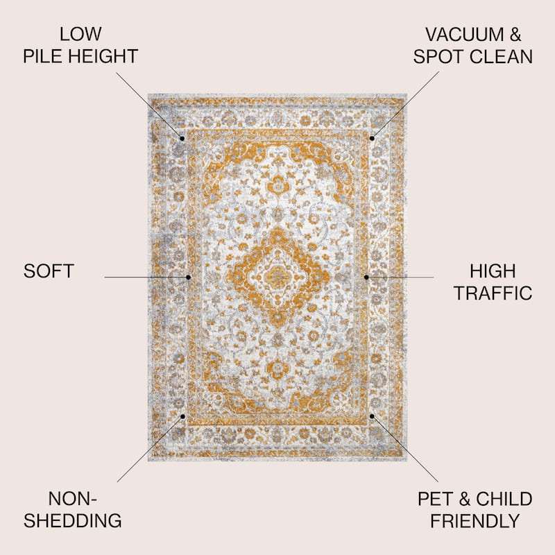 JONATHAN Y Zelda Ornate Medallion Persian Area Rug