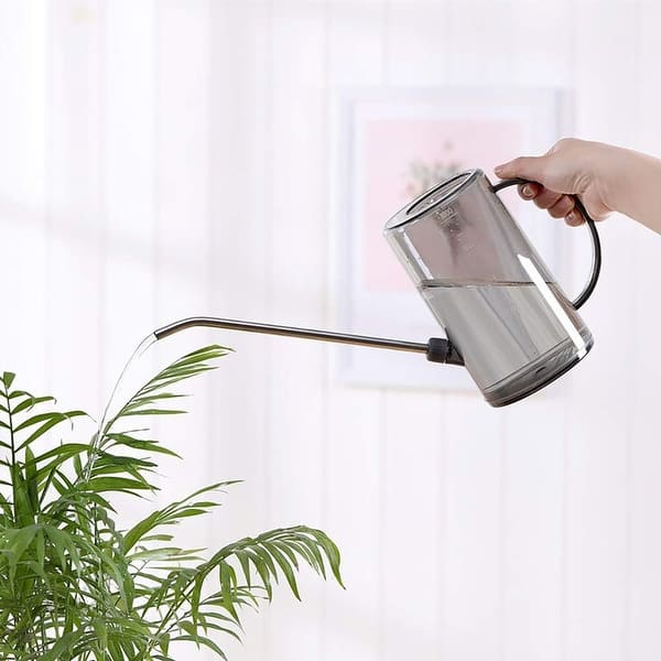 Long Spout Watering Can for Bonsai Plants - Bed Bath & Beyond - 39095003