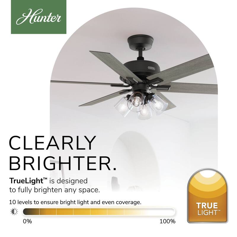 Hunter 52' Amberlin Ceiling Fan with LED Light Kit, Pull Chains - Farmhouse, Transitional, Rustic