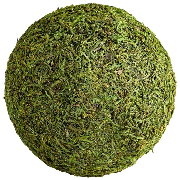 Cyan Design Medium Bermuda Filler 6.25" Diameter Bowl and Vase Filler - Green Moss