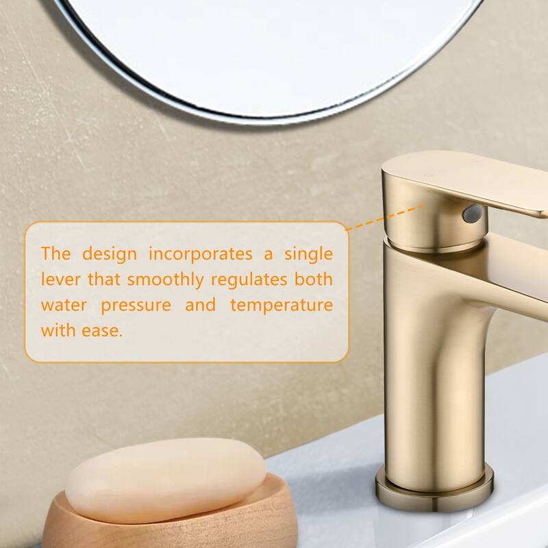 Topcraft Single Handle Stainless Steel Bathroom Sink Faucet