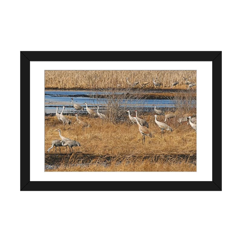 iCanvas "Sandhill Crane Migration" by Brian Wolf PFA