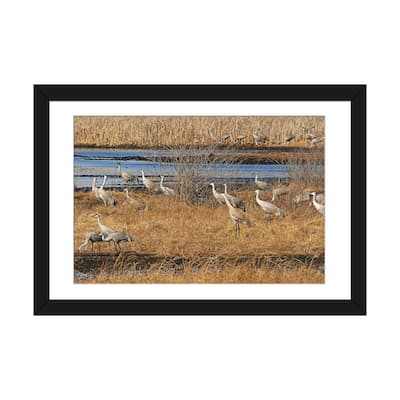 iCanvas "Sandhill Crane Migration" by Brian Wolf PFA