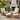 Christopher Knight Home - Briar Modern 4-Piece Outdoor Lounge Chair and Ottoman Set with Cushions and Acacia Wood Curved Frames