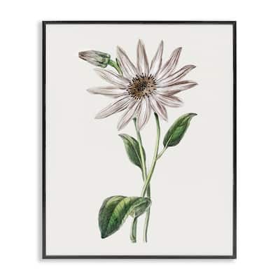 Stupell Vintage Mum Sprig Framed Giclee Art Design By CAD Designs