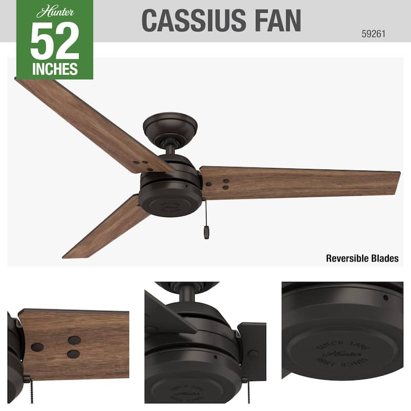 Hunter 52" Cassius Outdoor Ceiling Fan with Pull Chain, Damp Rated - Industrial, Contemporary, Farmhouse