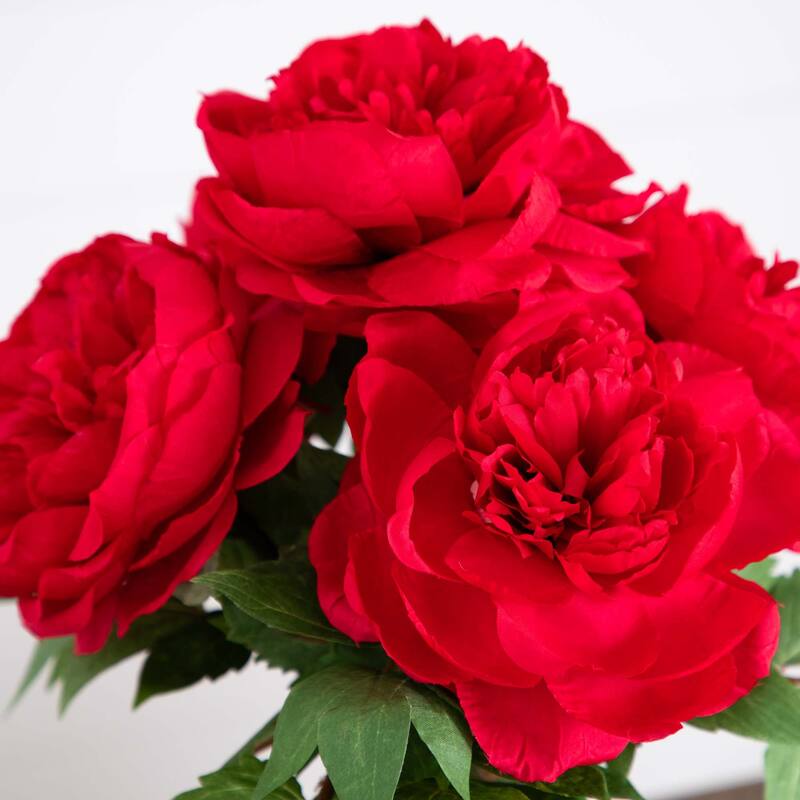 Peony Floral Artificial Arrangement with Glass Vase - 16" - Red and Green