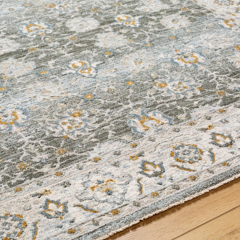 Livabliss Dresden Transitional Area Rug