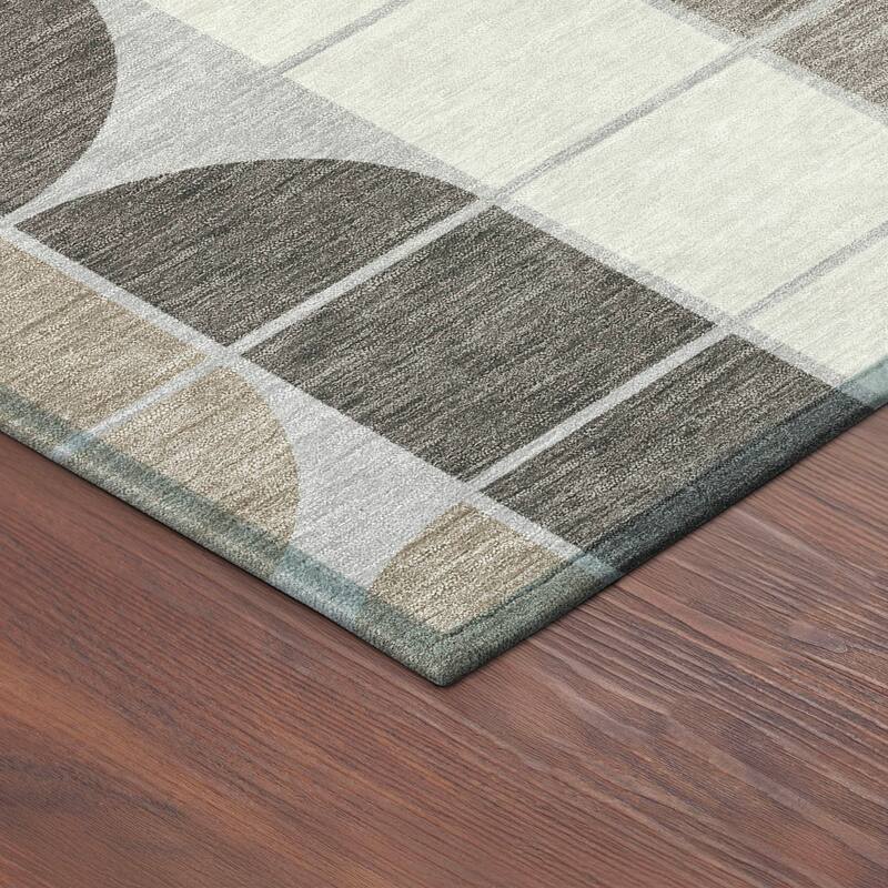 Machine Washable Indoor/ Outdoor Modern Finch Chantille Rug