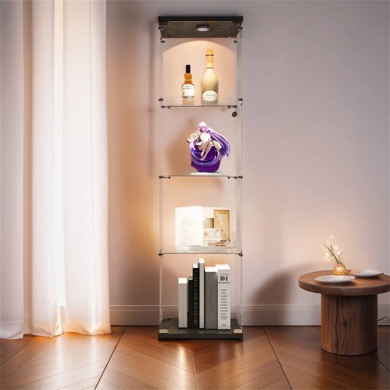 Lighted 4 Shelves Glass Cabinet Glass Display Cabinet with One Door, Black - Black