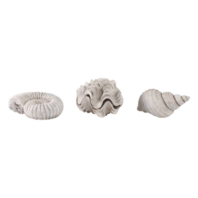 Polyresin Sculpture Coastal Shell Design (Set of 3) - 5/3" Ivory - 6.25" x 4.5" x 4.75"