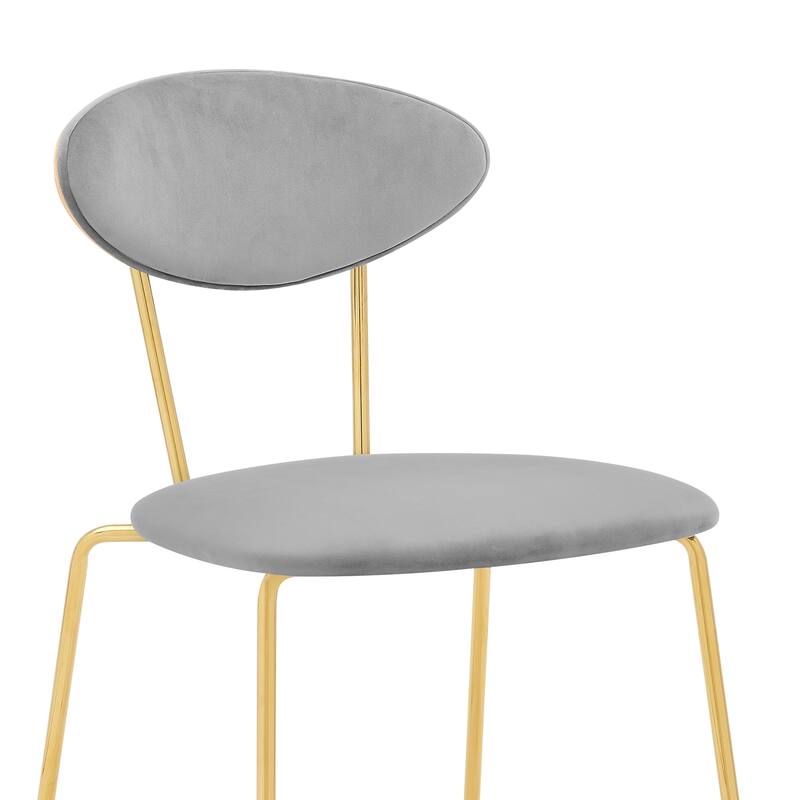 Neo Retro Gray Velvet and Gold Metal Dining Side Chairs - Set of 2