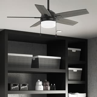 Hunter Anisten Ceiling Fan with LED Light Kit and Pull Chain, Modern, Contemporary